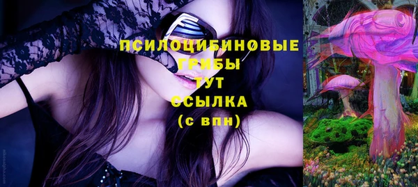прущий лед Алзамай