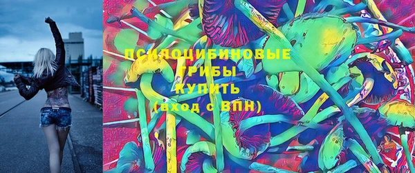 соль ск Алексин