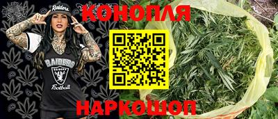 гашик Лесосибирск