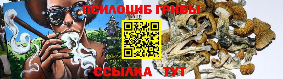 Галлюциногенные грибы MAGIC MUSHROOMS Бирск